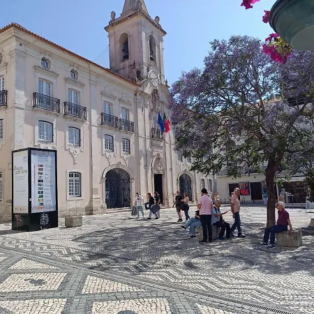 Ria House أفيرو